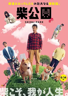 上原亚衣在线观看