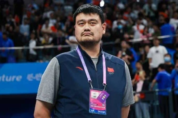 新来的女律师