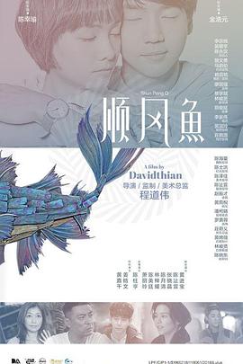 成版人短视频app