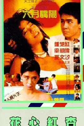绳艺调教