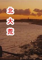 亚洲伊人久久综合