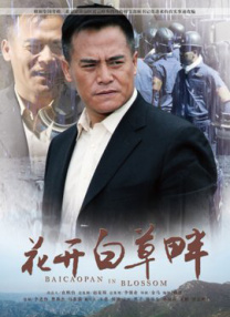 国内久久久久高清影视