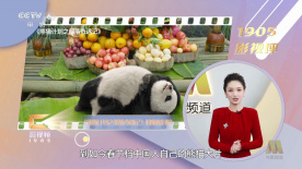 后辈的娇嫩夫人